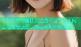奉节安坪海角社区道路改造：天工网工程信息速递，项目商机一触即发