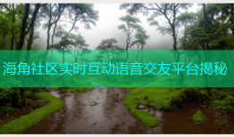 海角社区实时互动语音交友平台揭秘