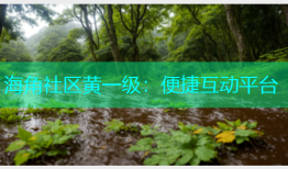 海角社区黄一级：便捷互动平台