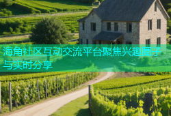 海角社区互动交流平台聚焦兴趣圈子与实时分享