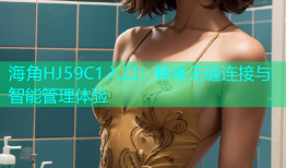 海角HJ59C1入口：畅享无缝连接与智能管理体验