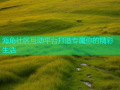 海角社区互动平台打造专属你的精彩生活
