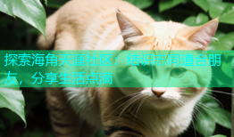 探索海角天涯社区：结识志同道合朋友，分享生活点滴