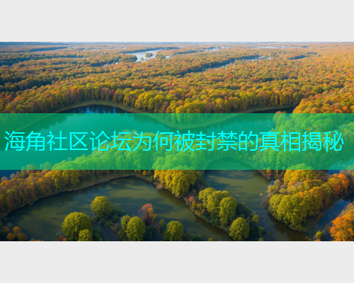 海角社区论坛为何被封禁的真相揭秘