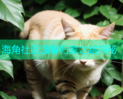 海角社区温馨归家之路探秘