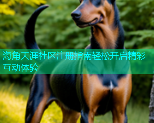 海角天涯社区注册指南轻松开启精彩互动体验