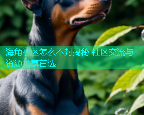 海角社区怎么不封揭秘 社区交流与资源共享首选